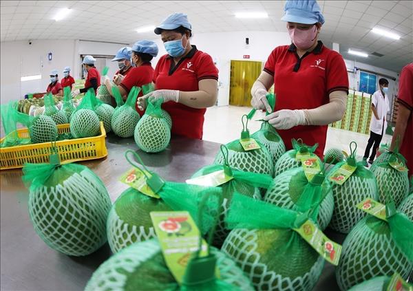 Efforts intensify to maintain key agricultural export markets