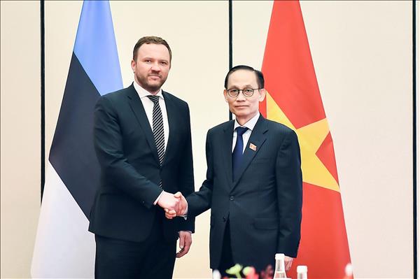 レ・ホアイ・チュン外相、エストニア外相と会談