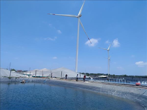 Thanh Hai Commune Emerges as a Clean Energy Bright Spot