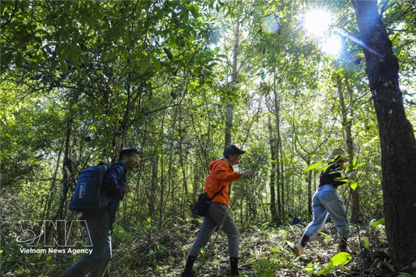 Estandarizan actividades de turismo de aventura en Vietnam
