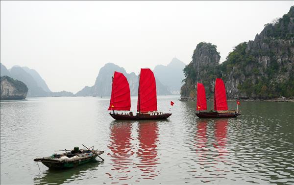 Quang Ninh lance des excursions en voilier le long de la baie de Ha Long