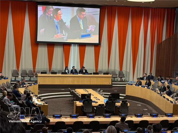 日本支持越南担任《不扩散核武器条约》审议大会主席