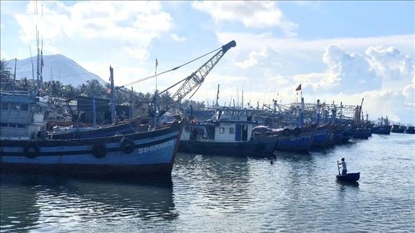 ຢາ​ລາຍ ໜູນ​ຊ່ວຍ​ຊາວ​ປະ​ມົງ​ຫັນ​ປ່ຽນ​ອາ​ຊີບ, ສ້າງວິ​ທີ​ຫາ​ເງິນ​ລ້ຽງ​ຊີບ​ທີ່​ເປັນ​ປົກ​ກະ​ຕິ