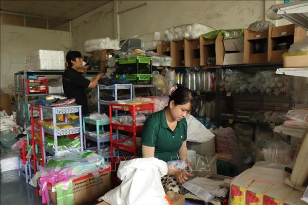 Household businesses need more enabling policies