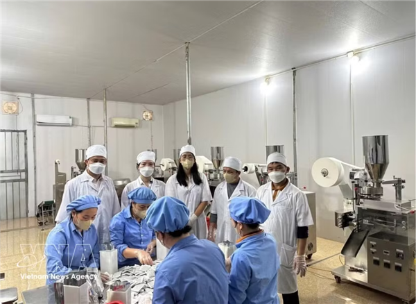 Vers une économie des plantes médicinales à forte valeur ajoutée au Vietnam