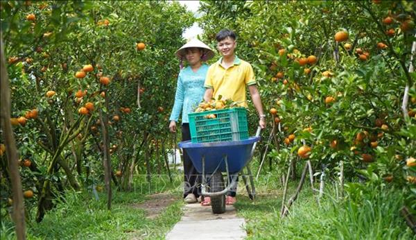 베트남 동탑성, ‘친환경과 ‘디지털 융합으로 관광 경쟁력 강화