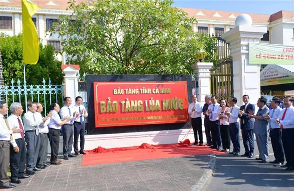 까마우성, 수중벼 박물관 설립