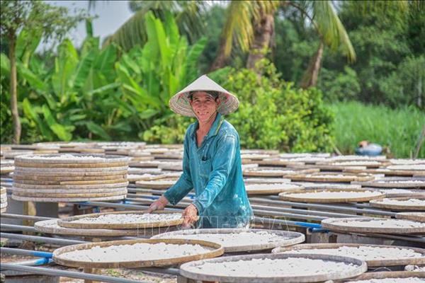 Giữ nhịp nghề quê bên vàm Nhựt Tảo