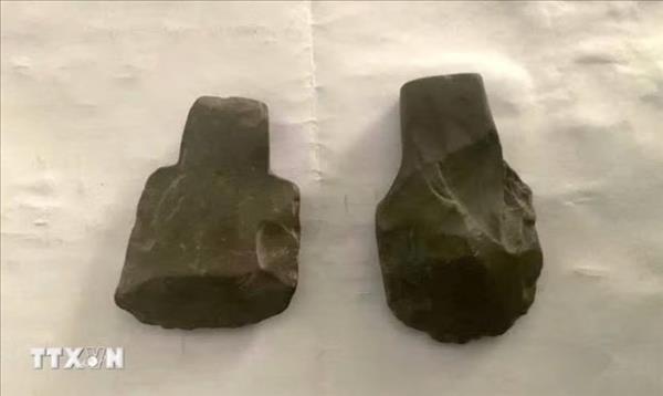 퐁냐-깨방 국립공원서 수천 년 된 석도끼 5점 발견