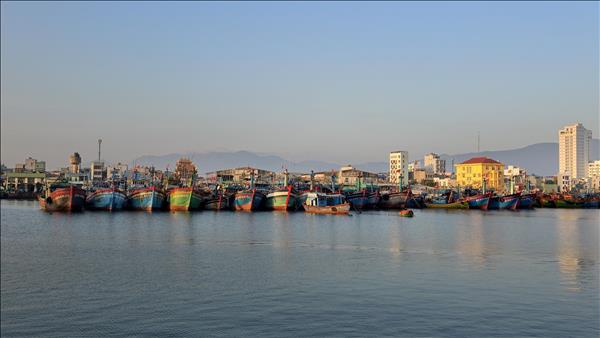 Gia Lai invests heavily to help fishermen shift livelihoods, combat IUU fishing