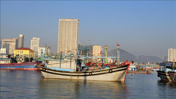 Gia Lai invests heavily to help fishermen shift livelihoods, combat IUU fishing