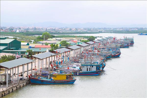 LED lighting drives efficiency gains in fisheries