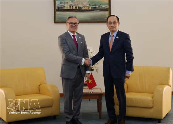 越南深化与东盟和欧盟国家关系 促进与文莱文化交流