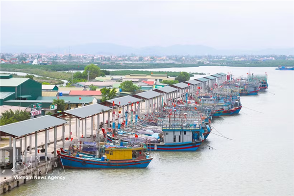 解除IUU黄牌警告：越南渔民将LED灯技术应用于海产品捕捞