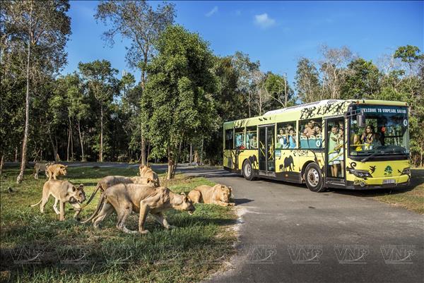 Vinpearl Safari Phú Quốc: Bản giao hưởng hoang dã giữa đảo Ngọc