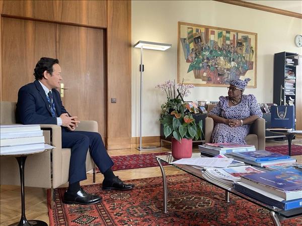 Vietnam continues to contribute effectively to multilateral mechanisms: Ambassador