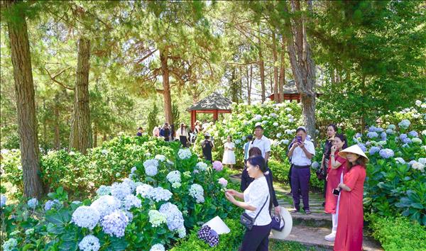 Du lịch Lâm Đồng sôi động trong ngày nghỉ lễ