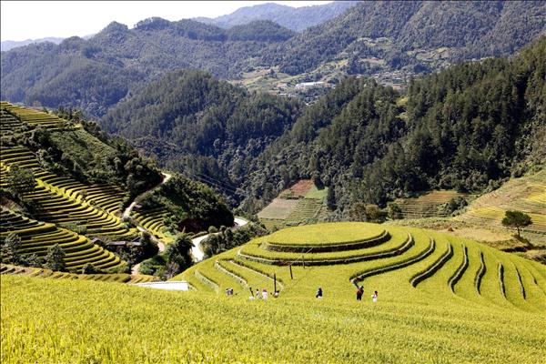 Vietnam fortalece conectividad regional para impulsar un turismo sostenible