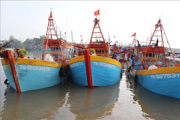 Dong Thap tightens fishing control to curb IUU fishing