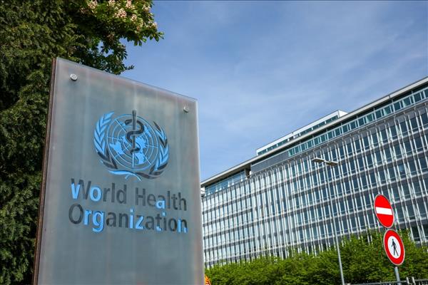WHO、ハンタウイルスの地域社会への感染リスクは「低い」と評価