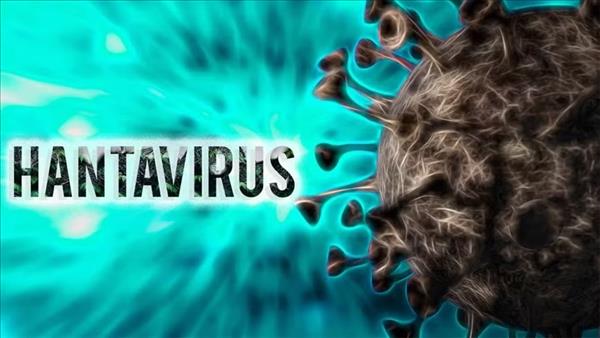 Vietnam permanece libre de infección humana por virus Hanta