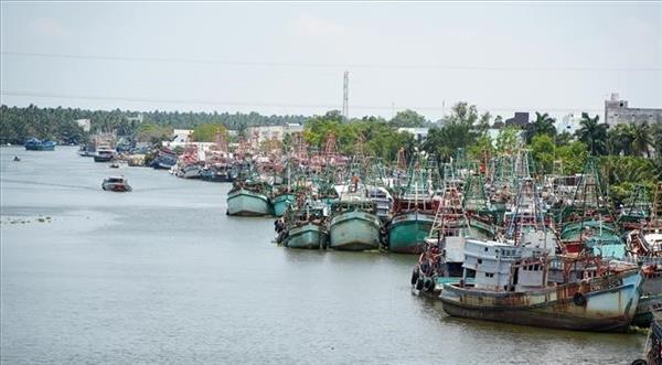 Khắc phục thẻ vàng IUU: Tăng tốc thực hiện khuyến nghị của EC