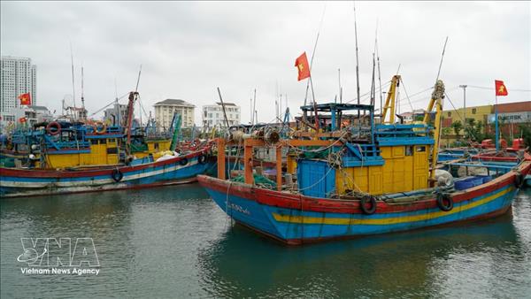 Pêche INN : An Giang renforce sa conformité aux exigences de la CE