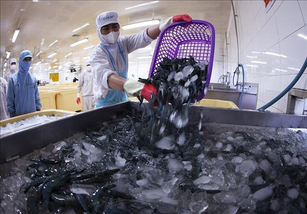 Import-export turnover up over 24%