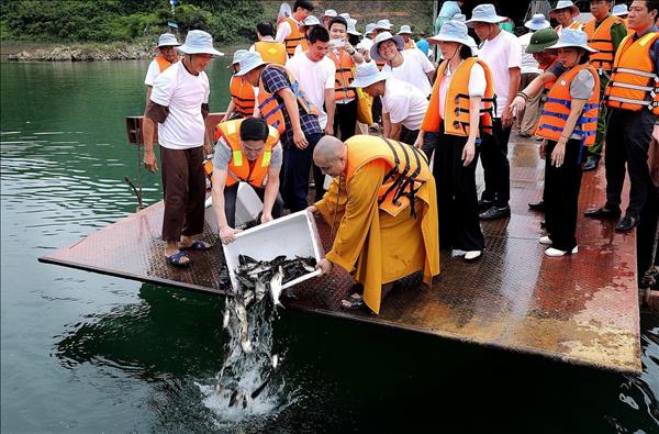Tái tạo nguồn lợi thủy sản lòng hồ Hòa Bình