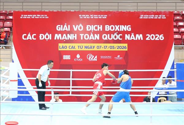 Khai mạc Giải vô địch boxing các đội mạnh toàn quốc năm 2026