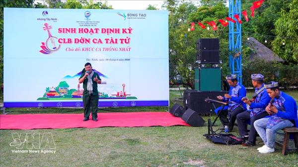 Don ca tai tu, identidad cultural y atractivo turístico del sur de Vietnam