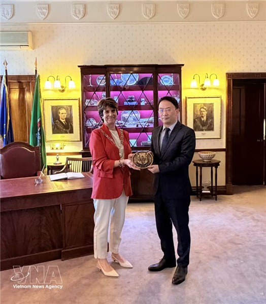 Vietnam e Irlanda impulsan una cooperación más profunda