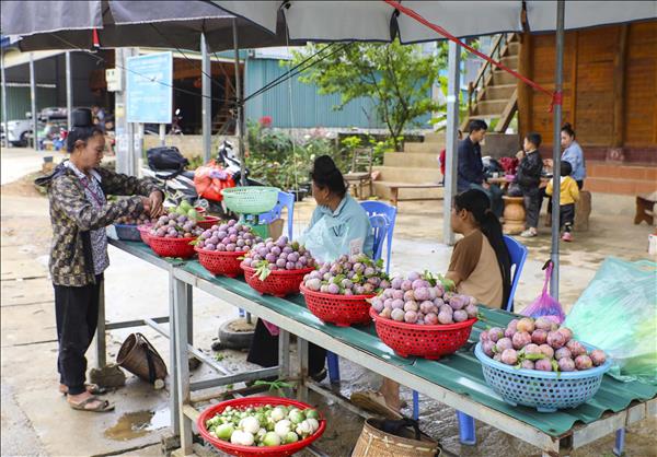 ម្ចាស់ការប្រើបច្ចេកទេស លើកកម្ពស់តម្លៃកសិផល