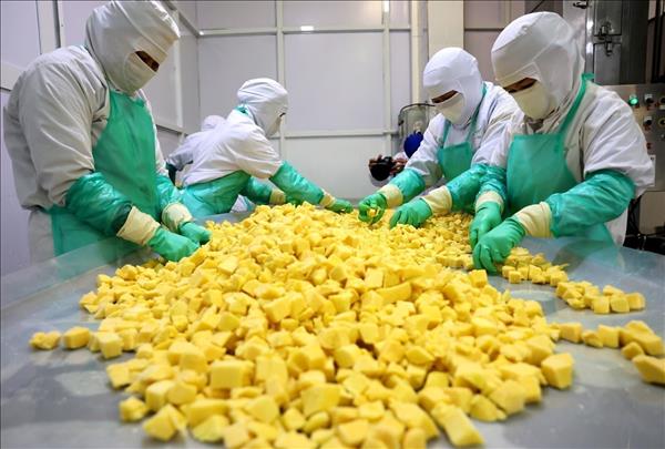 Vietnam notifies WTO committee of goods origin management reforms
