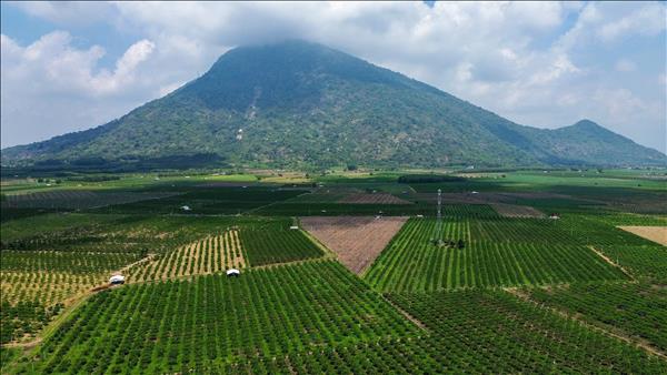 Chuỗi du lịch sinh thái ở núi Bà Đen