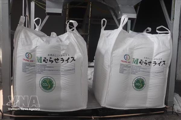 Plus de 70 000 tonnes de riz vietnamien déjà labellisées vertes