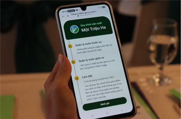 Le Vietnam numérise la riziculture bas carbone
