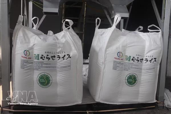 70,000 tonnes of rice granted Low-emission Green Vietnamese Rice label