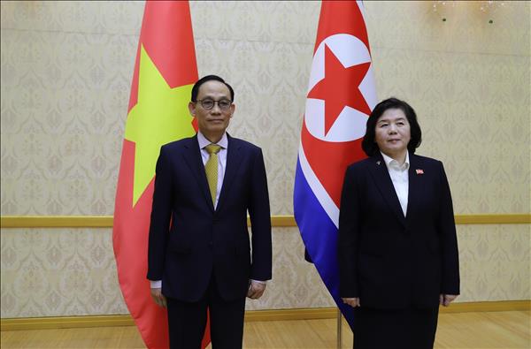 Vietnamese FM, DPRK officials discuss ways to boost bilateral ties