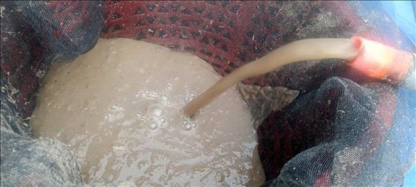 Sử dụng phân bón thông minh để phát triển nông nghiệp bền vững
