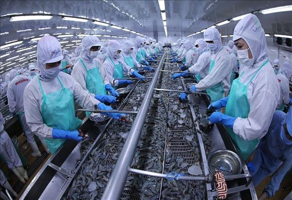 Vietnams Aquatic Product Exports Aim for 12 billion USD Target