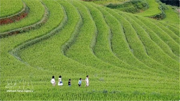 Tourisme : Ho Chi Minh-Ville et le Nord-Ouest élargi misent sur une croissance durable