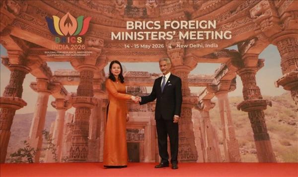ベトナム、BRICS外相会合で協力強化の方向性を提案