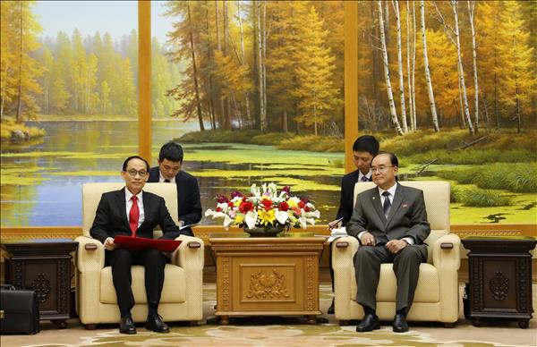 Vietnam wishes to unceasingly develop ties with DPRK: Foreign Minister