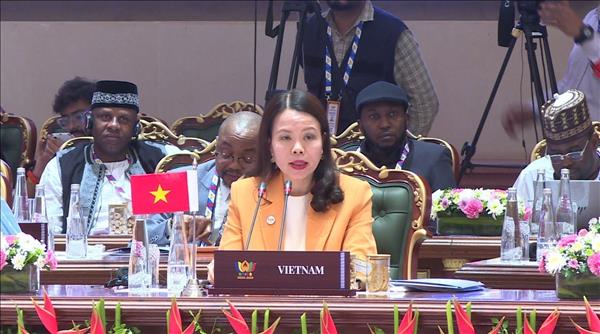 Việt Nam sẵn sàng thúc đẩy kết nối BRICS với khu vực châu Á - Thái Bình Dương