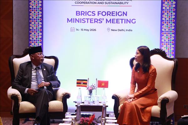 Vietnam ready to strengthen BRICS connection with Asia-Pacific