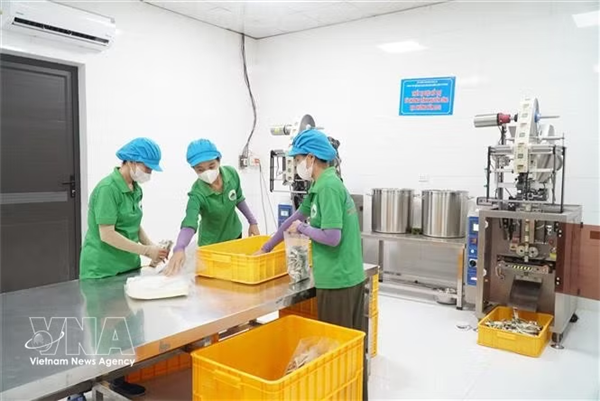 Transparencia institucional para impulsar al sector privado en Vietnam
