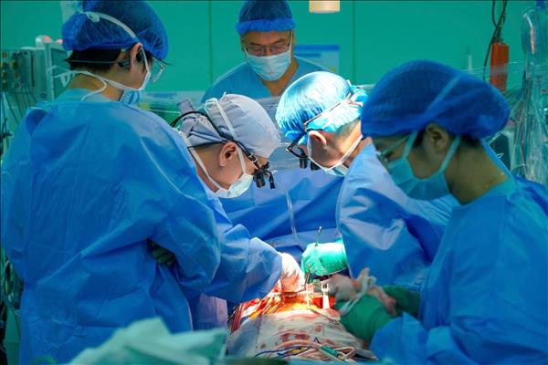 Thành phố Hồ Chí Minh: Liên tục thực hiện ghép tim cứu sống người bệnh suy tim nặng​