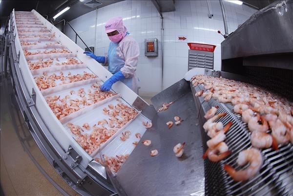 Vietnamese shrimp sector seeks distinct path in global race
