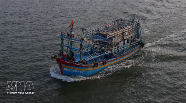 Cà Mau déterminée à mettre fin les activités de pêche INN